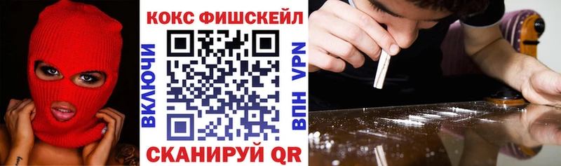 Cocaine Fish Scale  купить  сайты  Ульяновск 