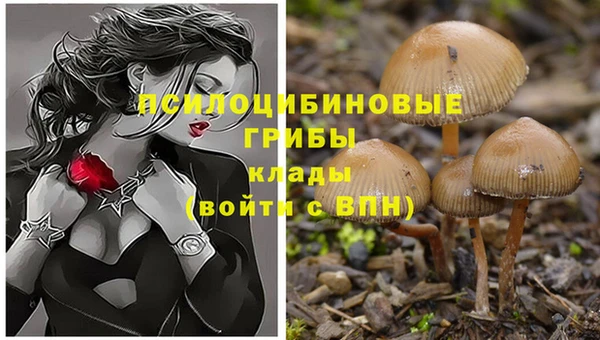 винт Армянск