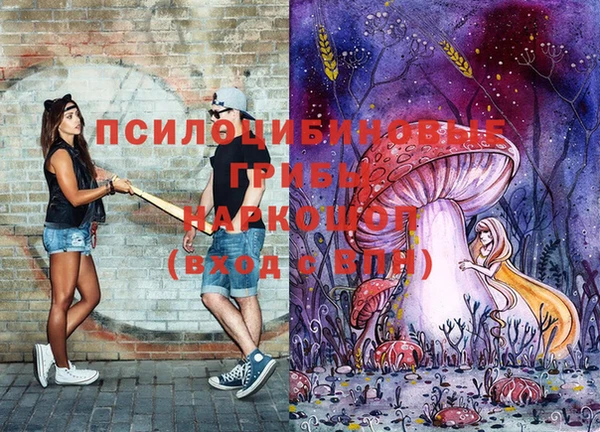 винт Армянск