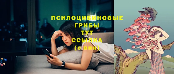 СК Аркадак