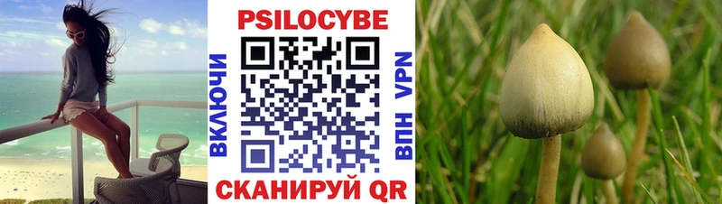 Псилоцибиновые грибы мицелий Ульяновск