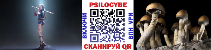 Псилоцибиновые грибы прущие грибы  Ульяновск 