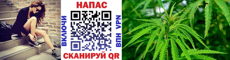 Конопля индика  Ульяновск 